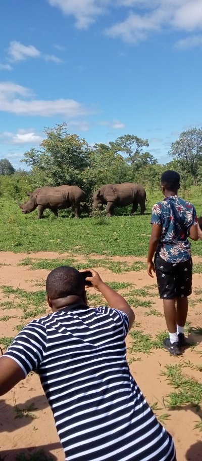 RHINO WALK SAFARI