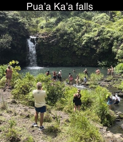 Private Road to Hana Tour in Luxury Suv