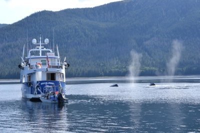 Tour the San Juan Islands on Bear Paw, your luxury 90' yacht charter