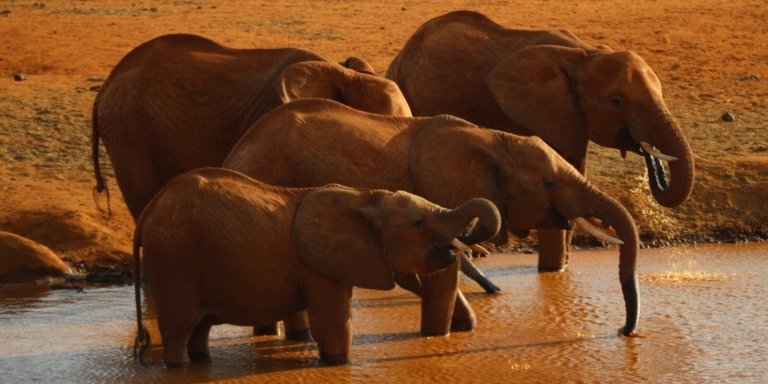 DAY TOUR TO TSAVO EAST NATIONAL PARK FROM MOMBASA/DIANI