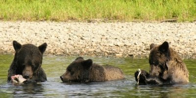 Sightseeing Day-Tours