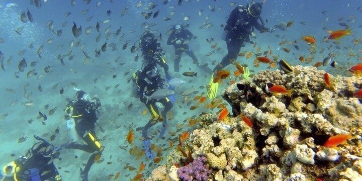 Red sea diving trip Hurghada