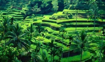 Private Full-Day Tour: Bali Instagram Tour