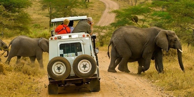 5 Days wildlife Safari Tour