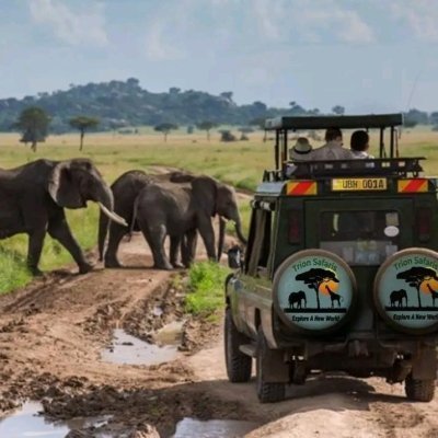 5 Days wildlife Safari Tour