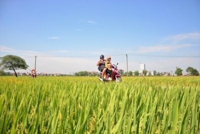 Hanoi City Insight Motorbike Half Day Tour To Colonial Places