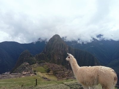 Machu Picchu Day Trip from Cusco
