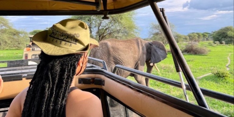 A 5-Day Safari to Tarangire, Serengeti, & Ngorongoro Crater.