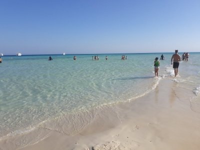 Luxury Snorkeling Trip to Ras Mohamed and White Island from Sharm