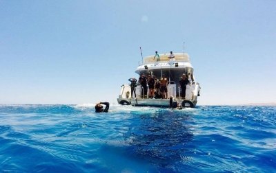 Snorkeling Trip to Tiran Island from Sharm El Sheikh