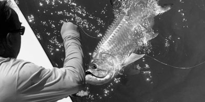 Fishing Tours & Charters