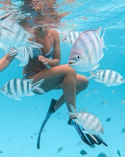 Safari Blue in Zanzibar With Sea Foods Lunch