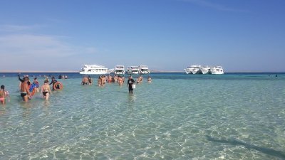 Diving Journey in the Treasures of Ras Mohamed & White Island