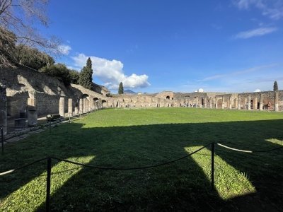 Guided Tour to Pompeii/Vesuvius with lunch/wine tasting from Positano