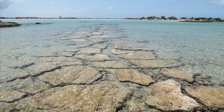 Elafonissi and Falassarna Beach Private Tour