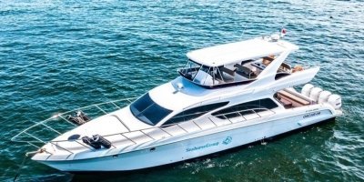 Boat Trips & Charters