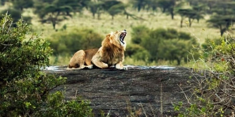 10 Days Kenya Wildlife and Culture Safari