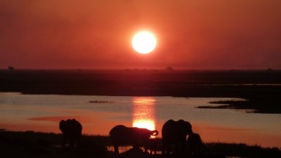 Unforgettable Delta Experience