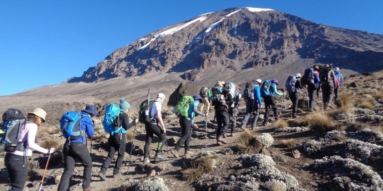 Hike Kilimanjaro via 5 Days Marangu(Coca-cola) route  - Meilleur Tours