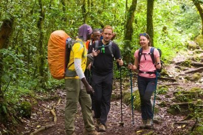 5 Climb Kilimanjaro Days Marangu route | Meilleur Tours