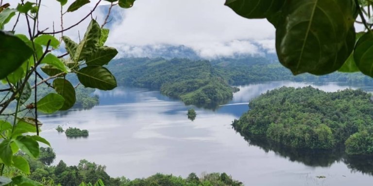 Bengoh Valley , Kuching  Sarawak