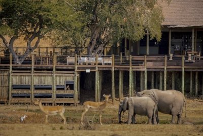5-Day Chobe - Savuti -Big 5 Safari from Victoria Falls