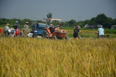 Half-Day Hanoi Countryside Bike Tour Exploring Red River Island