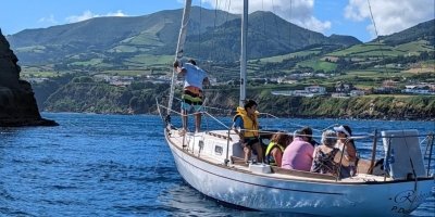 Boat Trips & Charters