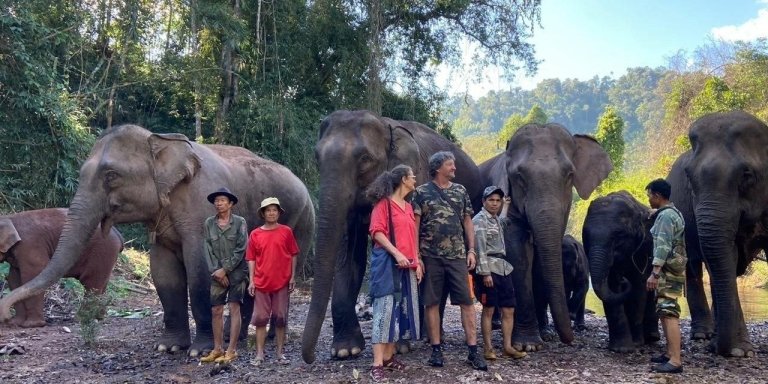 Elephant Home Sanctuary in Muang Thong Sayaboury Laos