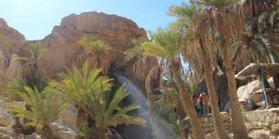 From Djerba/Zarzis 2 Day To Tozeur