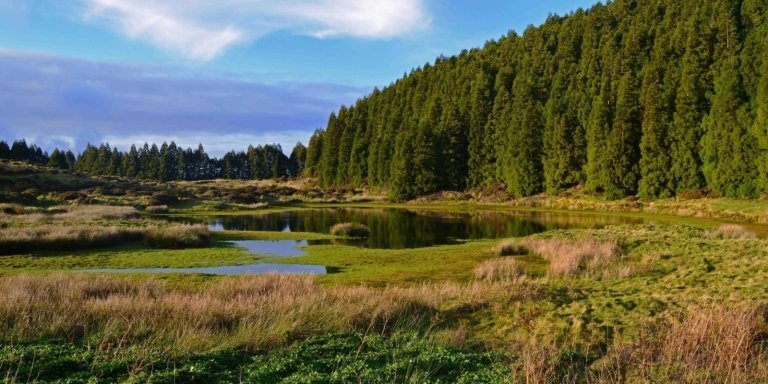 Hiking Terceira Island - Half-Day Tour to the Misterios Negros