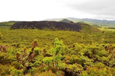 Hiking Terceira Island - Half-Day Tour to the Misterios Negros Hiking Terceira Island - Half-Day Tour to the Misterios Negros