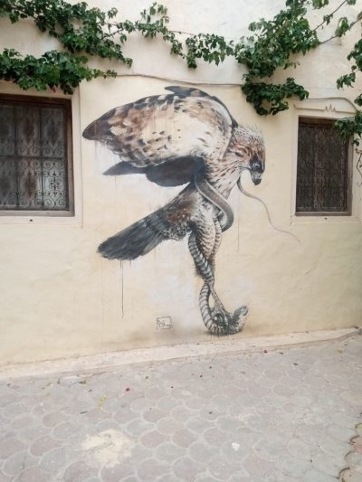 Excursion Djerba Istand Tour For 1 Day