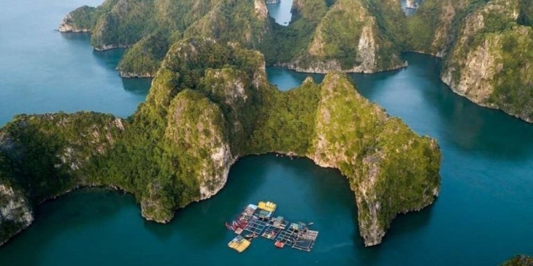 5-Star Luxury Ha Long Bay Day Cruise Sung Sot Cave Buffet Lunch