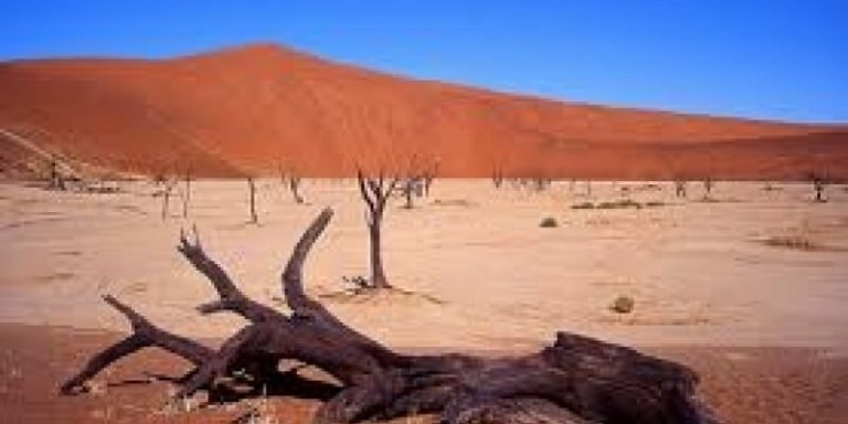 Sossusvlei, Swakopmund and Etosha National Park in 7 Days