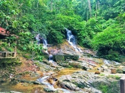 Templer’s Park Half Day Tour (SIC - Join In Tour)