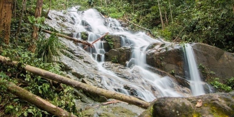 Templer’s Park Half Day Tour (SIC - Join In Tour)