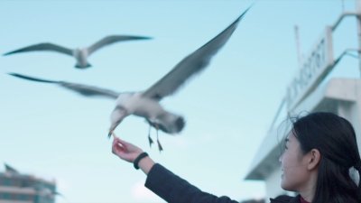 2024 Incheon Mcgang Party - Chicken & Beer Festival+Incheon hotspots