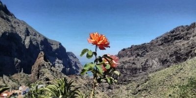 Motor Sports & Tours