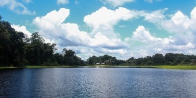 Tour 2 days/ 1 night into the Amazon River