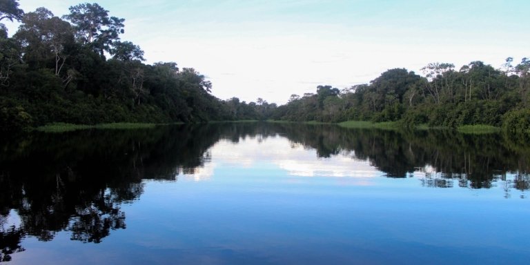 Tour 3 days/ 2 nights into the amazon rainforest