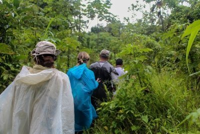 Tour 3 days/ 2 nights into the amazon rainforest