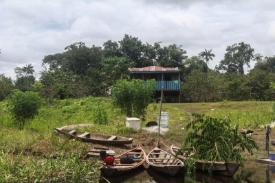 Tour 4 days/ 3 nights into the amazon rainforest