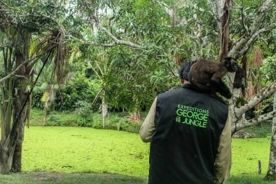 Tour 5 days/ 4 nights into the amazon rainforest