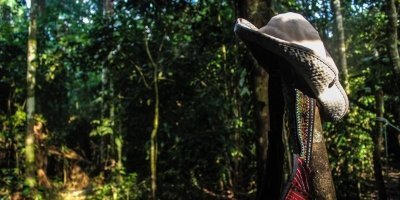 Tour 5 days/ 4 nights into the amazon rainforest