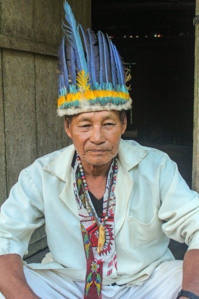 AYAHUASCA | BLESSED PLANT