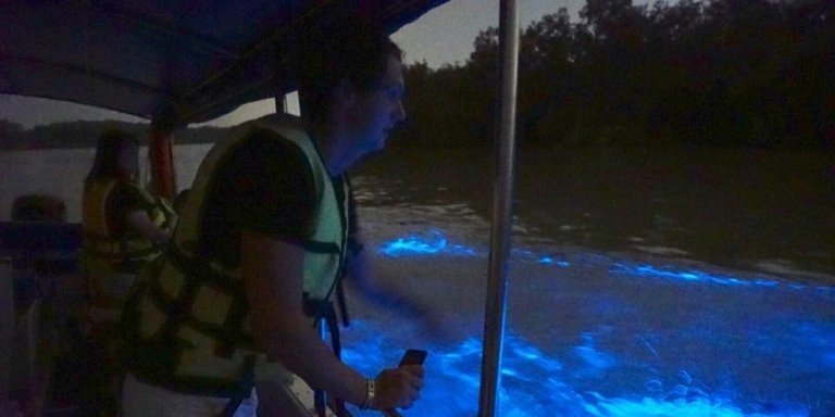 Kuala Lumpur Fireflies Tour+Blue Tears with Dinner (SIC)