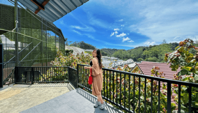 Cameron Highlands Day Tour from Kuala Lumpur with Lunch (SIC )