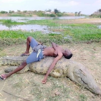 3-Day Masai Mara Wildlife Mid-Range Camp Safari