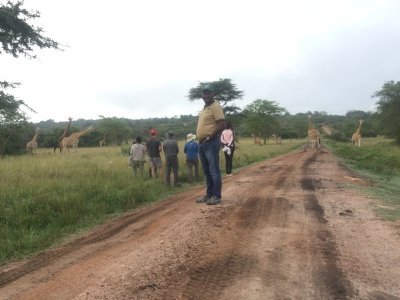 3 Days Serengeti National Park Holiday
